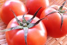 塩トマト　栄養　効果　効能