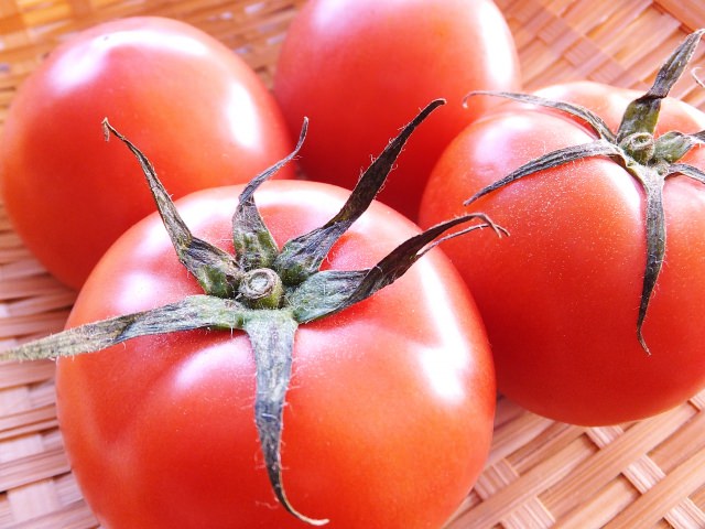 塩トマト　栄養　効果　効能
